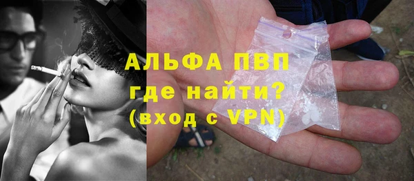 молекула духа Ельня