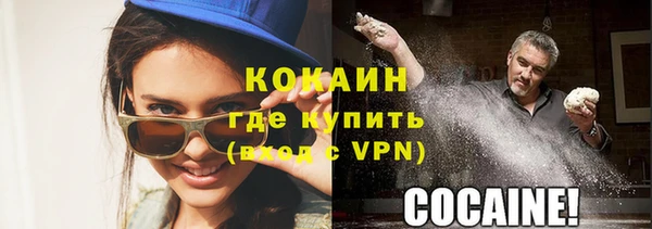 молекула духа Ельня