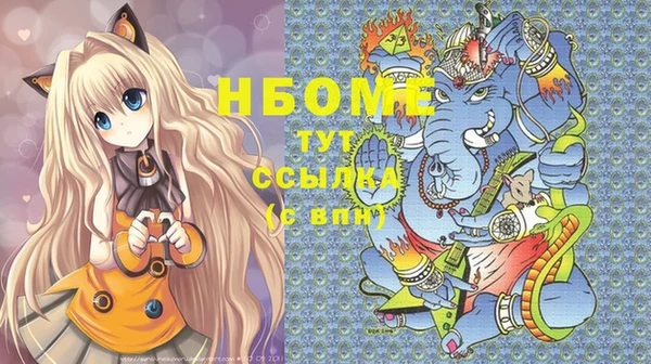 молекула духа Ельня