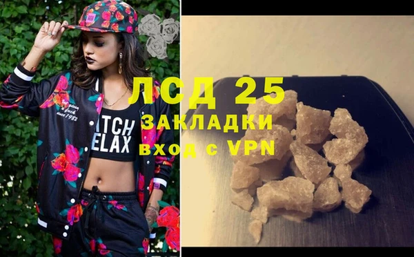 молекула духа Ельня