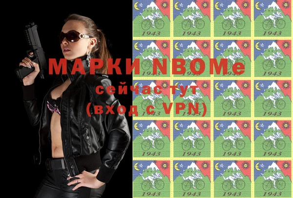 молекула духа Ельня