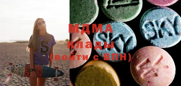 молекула духа Ельня