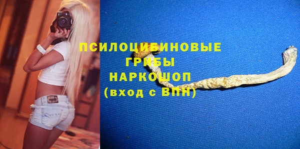 молекула духа Ельня