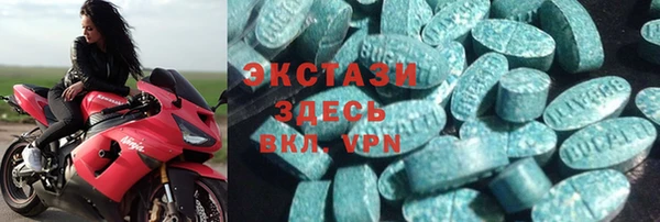 молекула духа Ельня