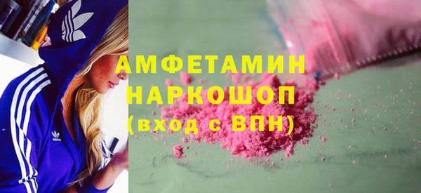 молекула духа Ельня