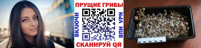 Галлюциногенные грибы мухоморы Петухово
